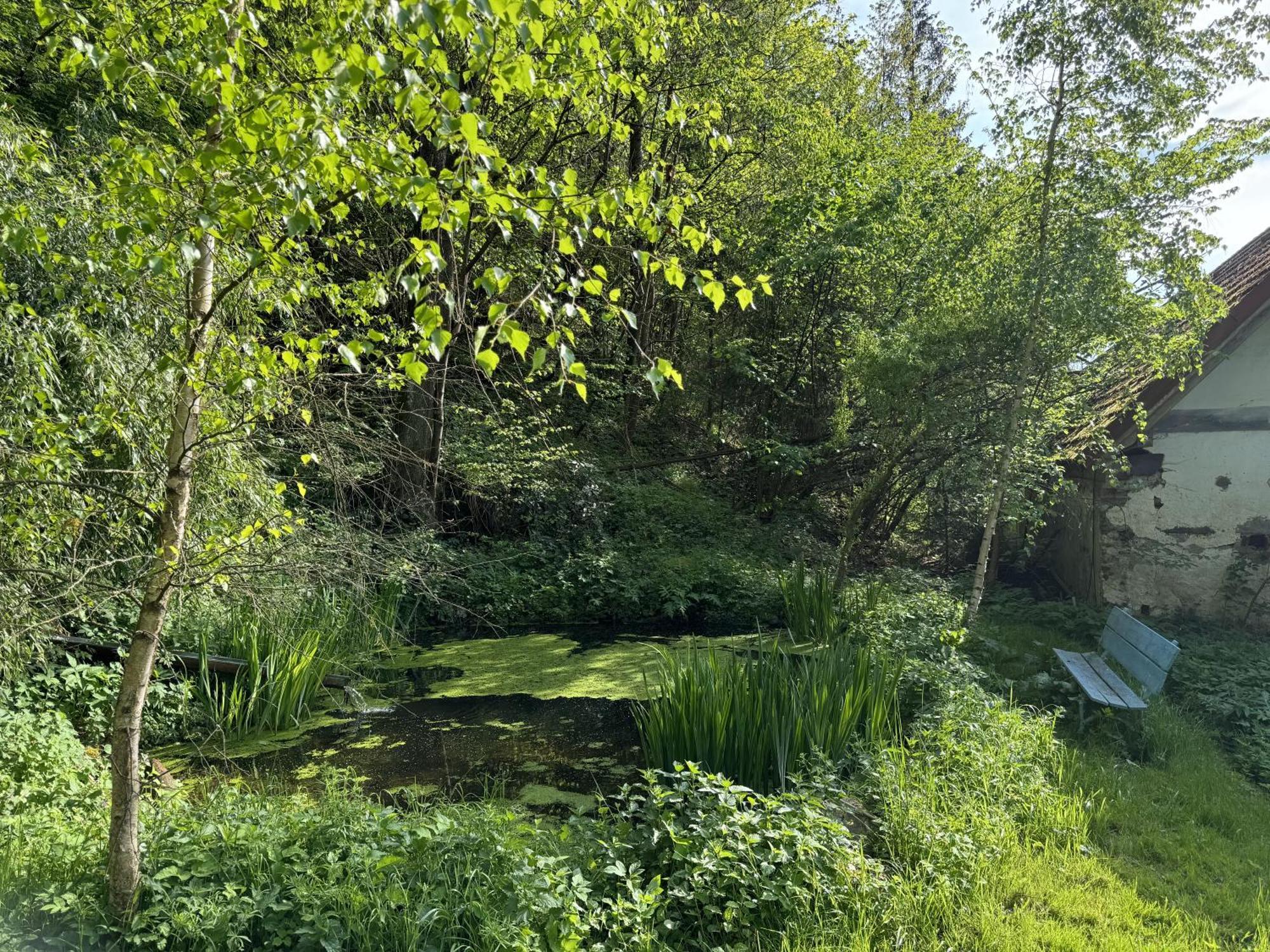 Vila Bejsovcuv Mlyn Becice Exteriér fotografie